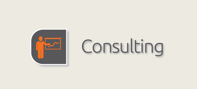 visible-services-consulting